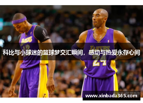 科比与小球迷的篮球梦交汇瞬间，感动与热爱永存心间